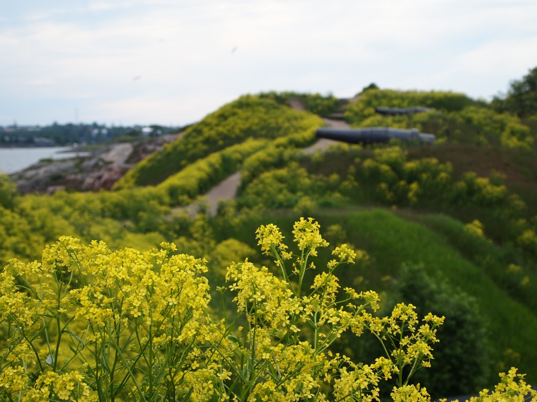 the-principles-of-sustainable-tourism-suomenlinna-official-website