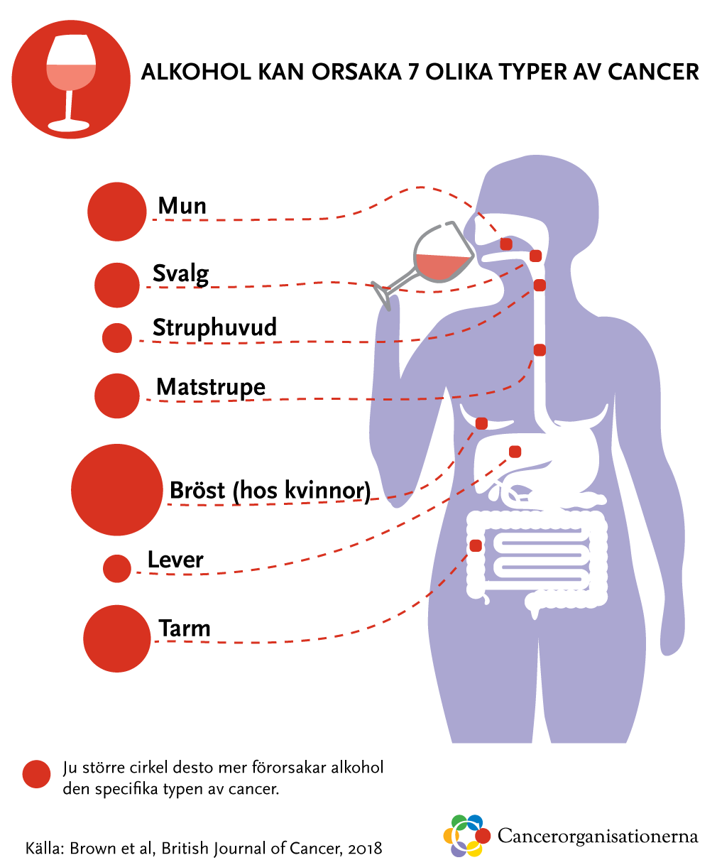 7 fakta om alkohol och cancer